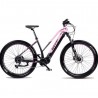 Elektrische fiets VTC MTF Road 6.4W 28 inch 900Wh 36V/25Ah Frame 19'
