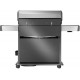 Napoleon Rogue® PRO-S 625 RSIB RVS SIZZLE ZONE™ 7 gasbarbecue met zij- en achterbrander